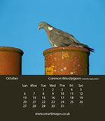 photo by Oliver Smart